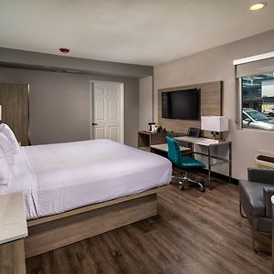 King Room Disability Access